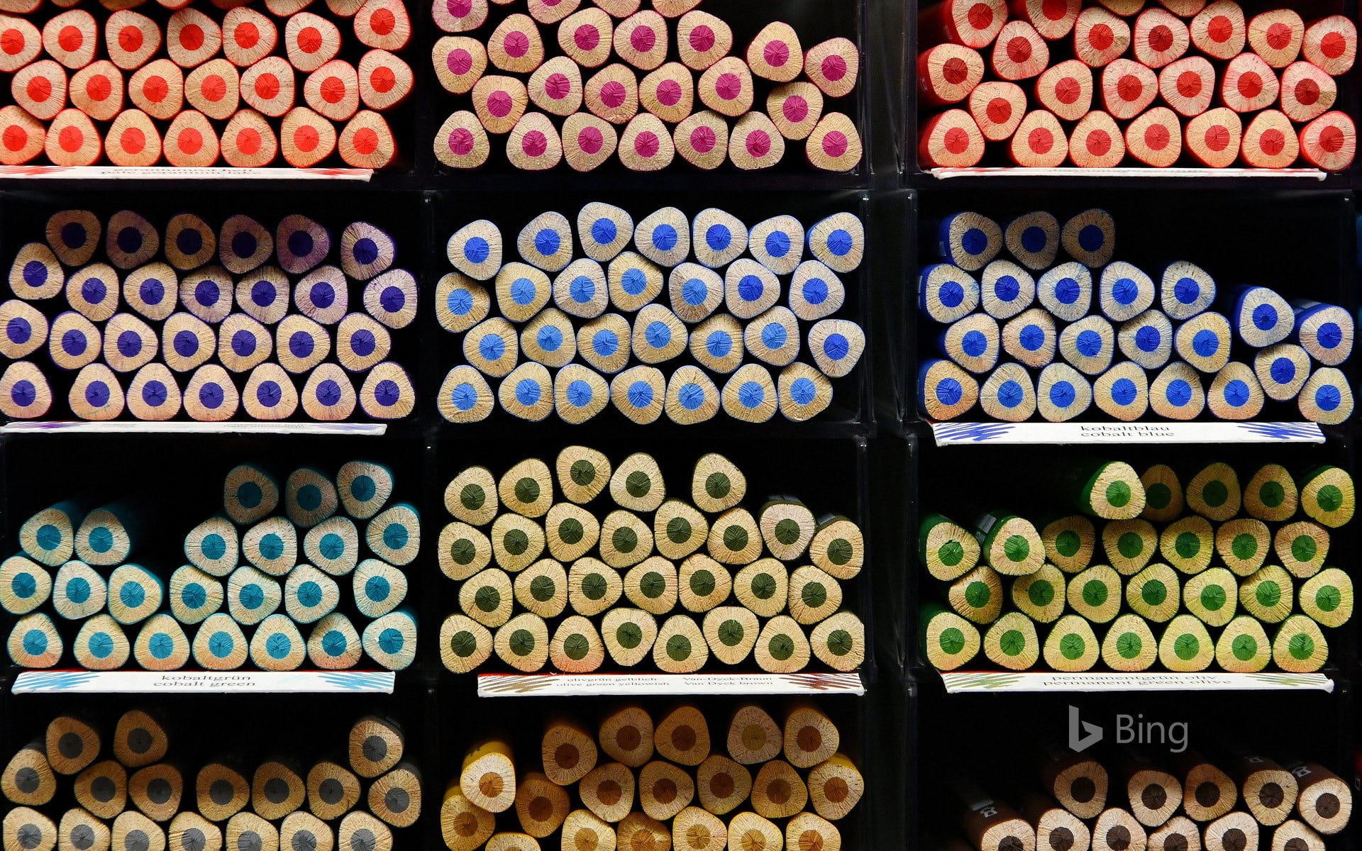 Education : Pencils At the ready!