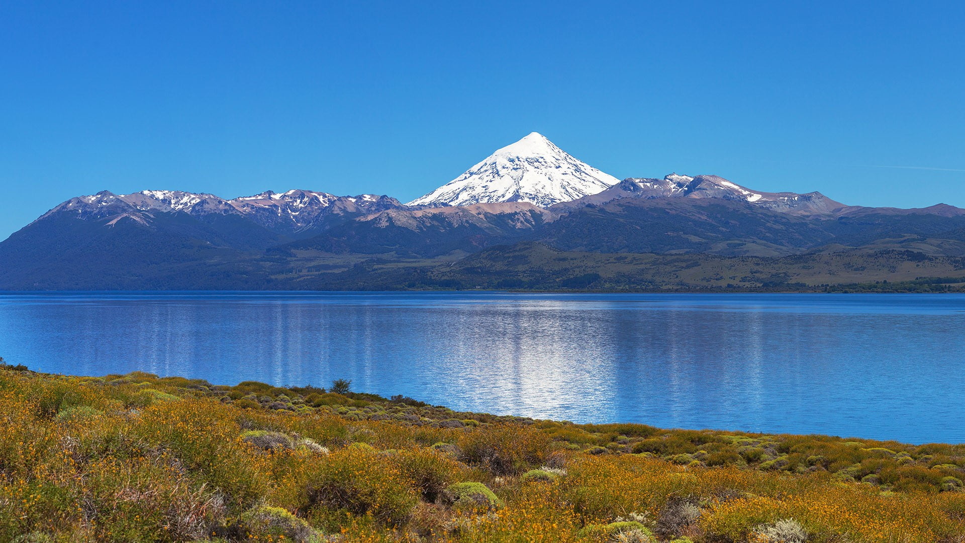 lanín national park