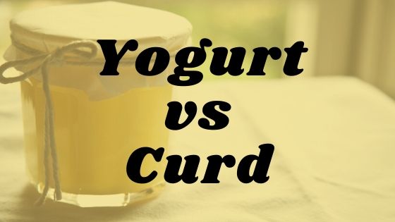 Yogurt vs Curd