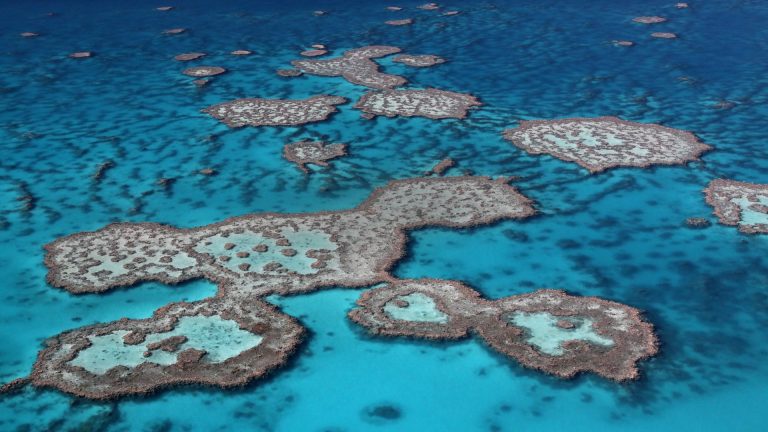 Aerial view of the Great Barrier Reef near Queensland, Australia