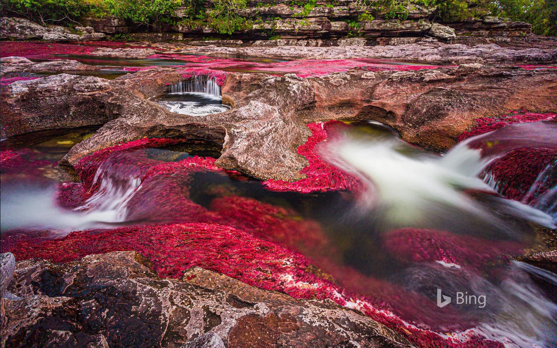 cano cristales river serrania de la macarena colombia