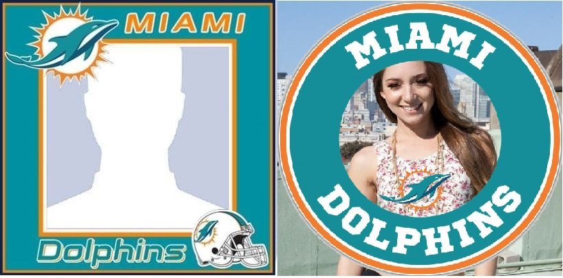 Miami Dolphins Frames